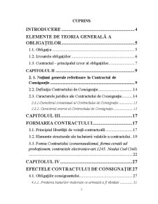 Contract de Consignație - Pagina 2