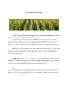 Tehnologia Agricolă în Județul Galați - Pagina 3