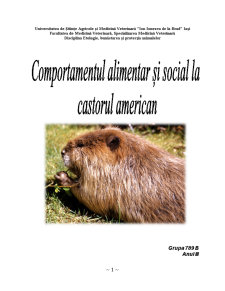 Comportamentul Alimentar și Social la Castorul American - Pagina 1