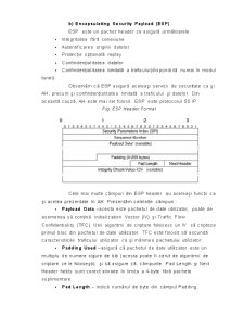 Protocoale de Securitate - AH și ESP - Pagina 3