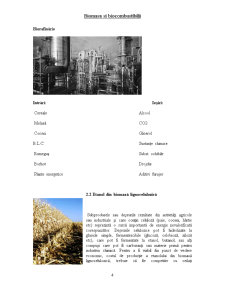 Biomasa și biocombustibilii - Pagina 4