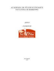 Plan de marketing internațional Vel Pitar - Pagina 1
