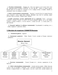 Proiect Management - Cosmote - Pagina 3