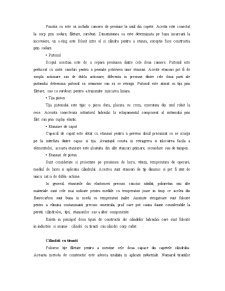 Cilindru cu tijă unilaterală și dublă acțiune - Pagina 2