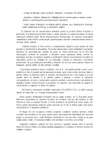 Economia întreprinderii SC Dulcibrio SRL - Pagina 5