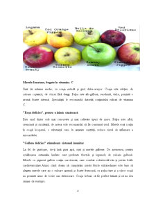 Conserve de Fructe - Pagina 4