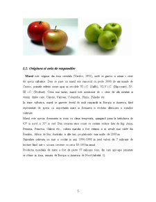 Conserve de Fructe - Pagina 5