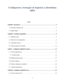 Configurarea strategiei de logistică și distribuție - Lidl - Pagina 1