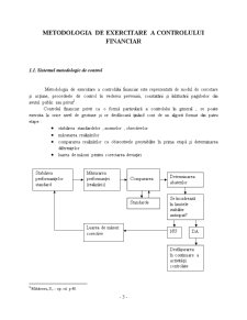 Metodologia de Exercitare a Controlului Financiar în Cazul Unei Firme Sau a Unei Instituții Publice - Pagina 3