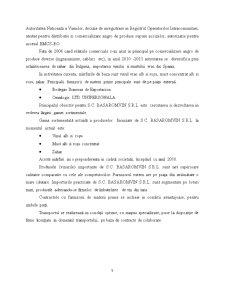 Fundamentarea și Realizarea Veniturilor Bugetare la SC Basarom Vin SRL - Pagina 5