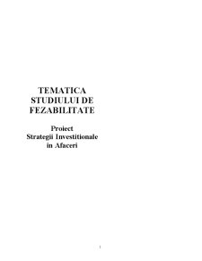 Strategii investiționale în afaceri - studiu de fezabilitate - Pagina 1