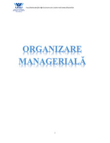 Organizare Managerială - Pagina 1