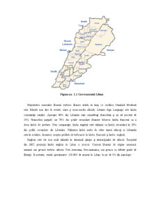 Liban - management internațional - Pagina 5