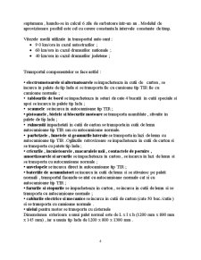 Logistică - Dacia Mioveni - Pagina 2