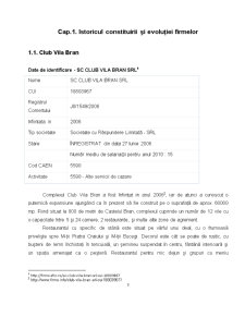 Analiza Comparativă între Club Vila Bran și Complex Wolf - Pagina 3