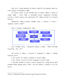 Managementul Calitatii Serviciilor în Cadrul Spitalul Clinic Județean de Urgență Sibiu - Pagina 4