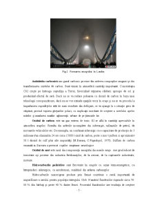Poluarea Mediului - Pagina 5