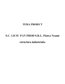 Structuri Industriale Competitive - SC Liciu Pan SRL - Pagina 3