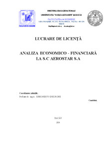Analiza economico-financiară la SC Aerostar SA - Pagina 2