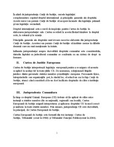 Jurisprudența Curții Europene de Justiție - izvor nescris al dreptului administrativ european - Pagina 5