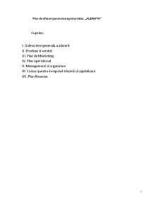 Plan de Afaceri Pensiunea Albinuța - Pagina 2