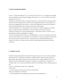 Plan de Afaceri Pensiunea Albinuța - Pagina 3