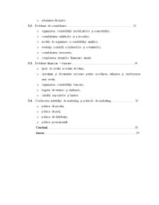 Caiet de practică - contabilitate și informatică de gestiune - Pagina 3