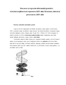 Structura ARN - Pagina 1