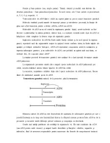 Structura ARN - Pagina 5