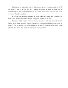 Plan de afaceri - creșterea și comercializarea chinchillelor - Pagina 4