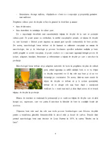 Filiera producției de bere - Pagina 4