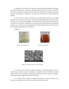 Nanostructuri și Nanomateriale de Argint - Pagina 5