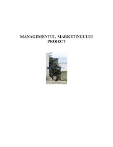 Managementul Marketingului - Pagina 1