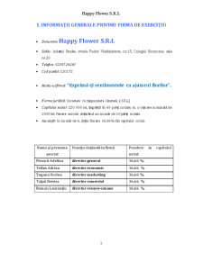Plan de afaceri florărie - Pagina 3