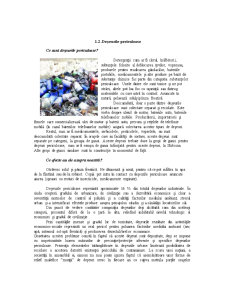 Gestionarea și Neutralizarea Deșeurilor Orășenești - Pagina 4