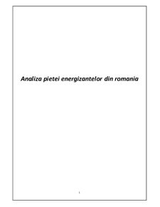Analiza pieței energizantelor din România - Pagina 1