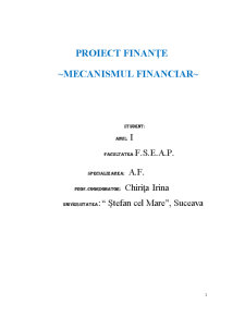 Mecanismul Financiar - Pagina 1