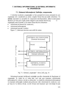 Sistemul Informațional și Sistemul Informatic al Organizației - Pagina 1
