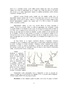 Ecotehnica plantației pomicole pe rod - sămânțoase - Pagina 4