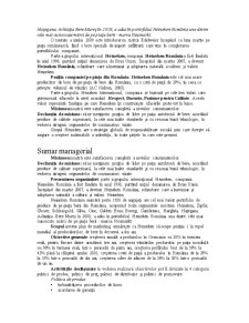 Plan de Marketing Heineken România - Pagina 3
