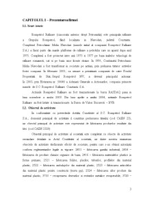Politici financiare - SC Rompetrol Rafinare Constanța SA - Pagina 3
