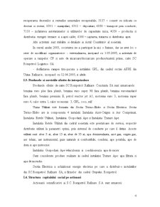 Politici financiare - SC Rompetrol Rafinare Constanța SA - Pagina 4