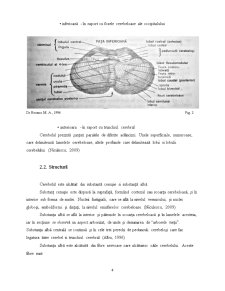 Rolurile Cerebelului - Pagina 4