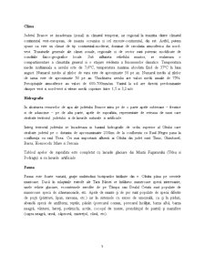 Valorificarea potențialului turistic al Județului Brașov - Pagina 5