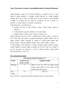 Analiza nivelului de dezvoltare al ofertei de cazare în Județul Maramureș - Pagina 3