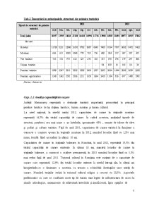 Analiza nivelului de dezvoltare al ofertei de cazare în Județul Maramureș - Pagina 5