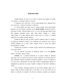 Giardioză în Județul Buzău - Pagina 2