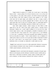 Particularități tehnologice de preparare a sosului maioneză și derivatele lui - Pagina 2