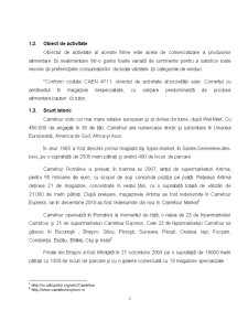 Analiza activității de comerț la nivelul firmei SC Carrefour SA - Pagina 3