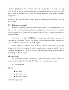 Analiza activității de comerț la nivelul firmei SC Carrefour SA - Pagina 4